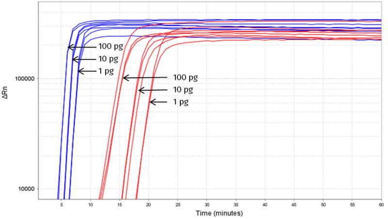 Figure 1: Rapid isothermal amplification of  target DNA (100 pg, 10 pg, 1 pg template) with Saphir Bst2.0 Turbo (blue; #PCR-390) compared to normal Saphir Bst2.0 (red, #PCR-389), Incubation at 65°C