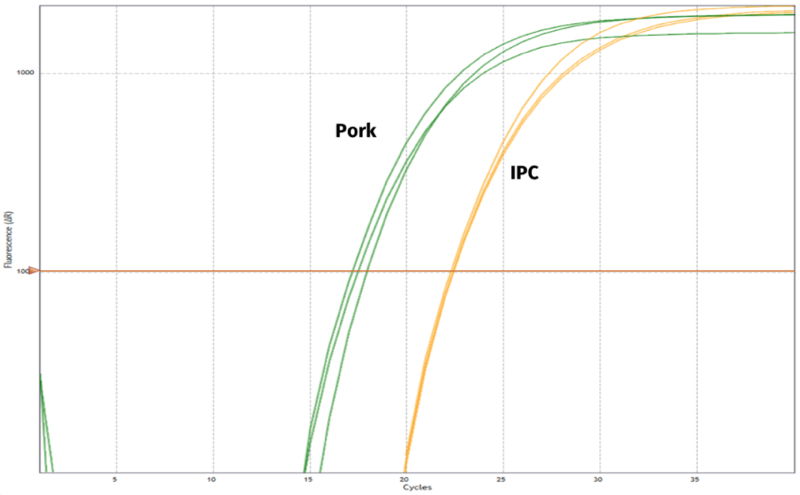 Figure 1: MeatDetect qPCR Kit – Pork (Halal), Amplification plot with positive pork signal (FAM fluorescence channel, green) and positive IPC (internal positive control) signal (ROX fluorescence channel, orange).
