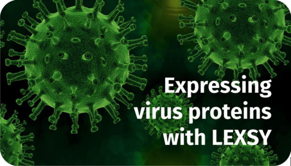 Expressing virus proteins with LEXSY