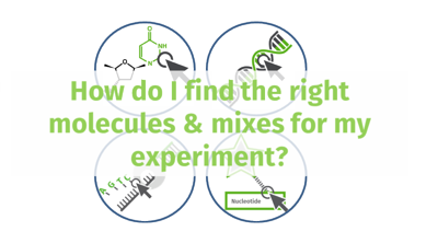 Nucleotides & qPCR: Easy online Search