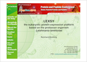 Preview LEXSY talk at PepCon 2012 Beijing
