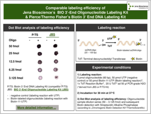 Preview  Labeling efficiency of BIO 3'-End Oligonucleotide Labeling Kit vs. competitor