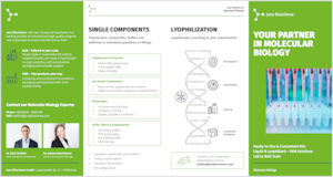 Preview  Molecular Biology Flyer
