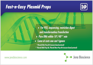 Preview Fast-n-Easy Plasmid Preps
