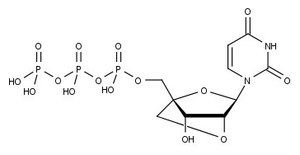 Structural formula of LNA-UTP