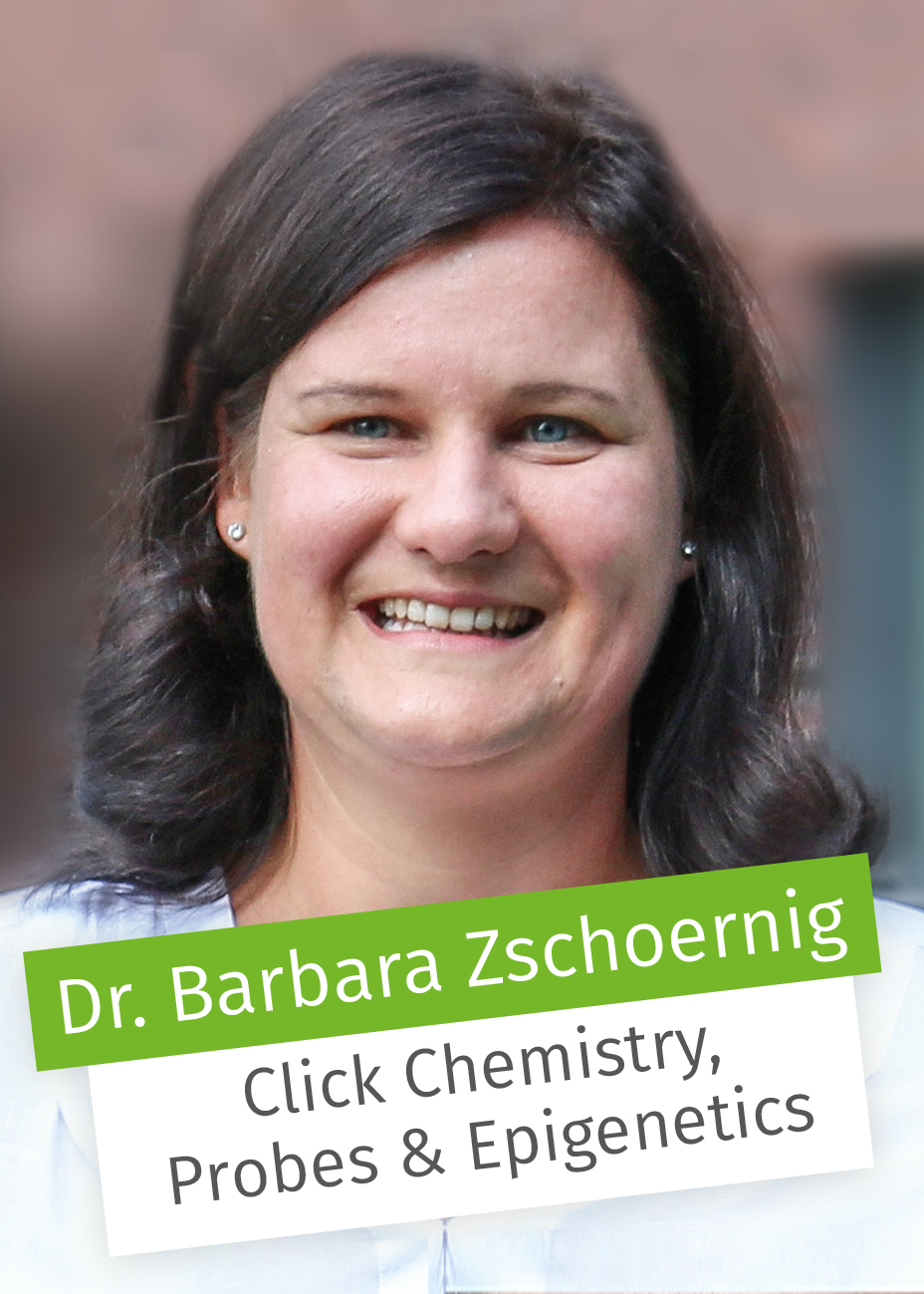 Dr. Barbara Zschoerning