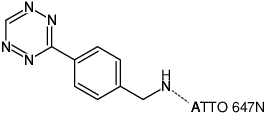 Structural formula of Tetrazine-ATTO-647N (Abs/Em = 644/669 nm, 3-(p-Benzylamino)-1,2,4,5-tetrazine - ATTO 647N)