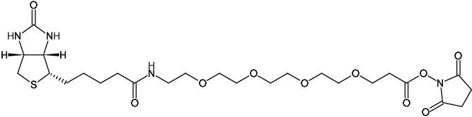 Structural formula of Biotin-PEG4-NHS ester