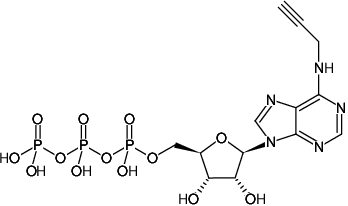Structural formula of N6-Propargyl-ATP (N6pATP) (N6-Propargyl-adenosine-5'-triphosphate, Sodium salt)