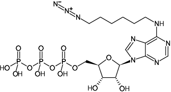 Structural formula of N6-(6-Azido)hexyl-ATP (N6-(6-Azido)hexyl-adenosine-5'-triphosphate, Sodium salt)