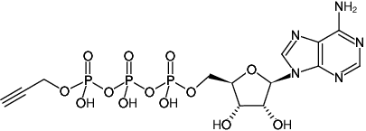 Structural formula of γ-Propargyl-ATP (Adenosine-5'-[γ-(propargyl)]triphosphate, Sodium salt)