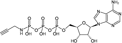 Structural formula of γ-[(Propargyl)-imido]-ATP (Adenosine-5'-[γ-(propargyl)-imido]triphosphate, Sodium salt)