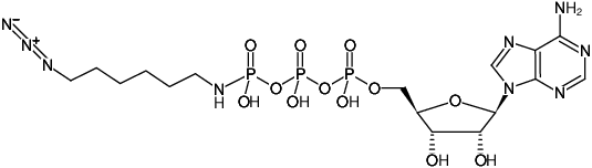 Structural formula of γ-[(6-Azidohexyl)-imido]-ATP (γ-[(6-Azidohexyl)-imido]-adenosine-5'-triphosphate, Sodium salt)