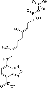 Structural formula of NBD-GPP (3,7-dimethyl-8-(7-nitro-benzo[1,2,5]oxadiazol-4-ylamino),-octa-2,6-diene-1- pyrophosphate)