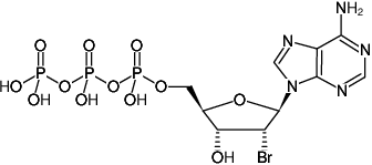 Structural formula of 2'-Bromo-dATP ((2'Br-dATP), 2'-Bromo-2'-deoxyadenosine-5'-triphosphate, Sodium salt)