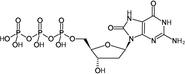 Structural formula of 8-Oxo-dGTP (8-Hydroxy-dGTP, 8-Oxo-2'-deoxyguanosine-5'-triphosphate, Sodium salt)