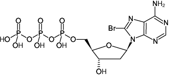 Structural formula of 8-Bromo-dATP ((8Br-dATP), 8-Bromo-2'-deoxyadenosine-5'-triphosphate, Sodium salt)