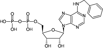 Structural formula of N6-Benzyl-ADP (N6-Benzyl-adenosine-5'-diphosphate, Sodium salt)