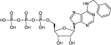Structural formula of N6-Benzyl-ATP (N6-Benzyl-adenosine-5'-triphosphate, Sodium salt)