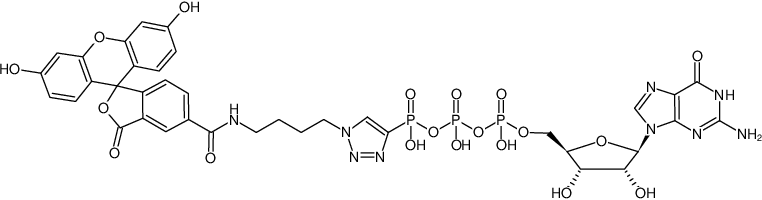 Structural formula of γ-[(4-Aminobutyl)triazolo]-GTP-5-FAM (y-[(4-Aminobutyl)triazolo]- guanosine-5'-triphosphate, labeled with 5-FAM, Triethylammonium salt)