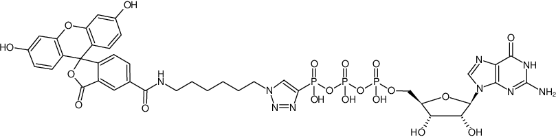 Structural formula of γ-[(6-Aminohexyl)triazolo]-GTP-5-FAM (y-[(6-Aminohexyl)triazolo]- guanosine-5'-triphosphate, labeled with 5-FAM, Triethylammonium salt)