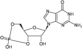 Structural formula of cGMP (Guanosine-3',5'-cyclic monophosphate, Sodium salt)