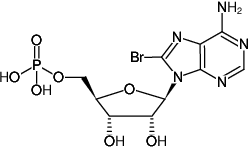 Structural formula of 8-Bromo-AMP ((8Br-AMP), 8-Bromo-adenosine-5'-monophosphate, Sodium salt)