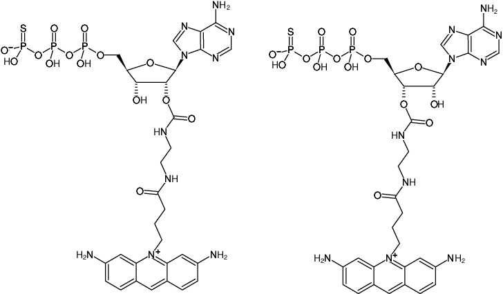 Structural formula of EDA-ATPγS-ATTO-465 (2'/3'-O-(2-Aminoethyl-carbamoyl)-adenosine-5'-(γ-thio)-triphosphate, labeled with ATTO 465, Triethylammonium salt)
