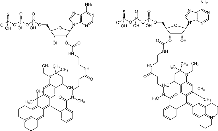 Structural formula of EDA-ATPγS-ATTO-647N (2'/3'-O-(2-Aminoethyl-carbamoyl)-adenosine-5'-(γ-thio)-triphosphate, labeled with ATTO 647N, Triethylammonium salt)