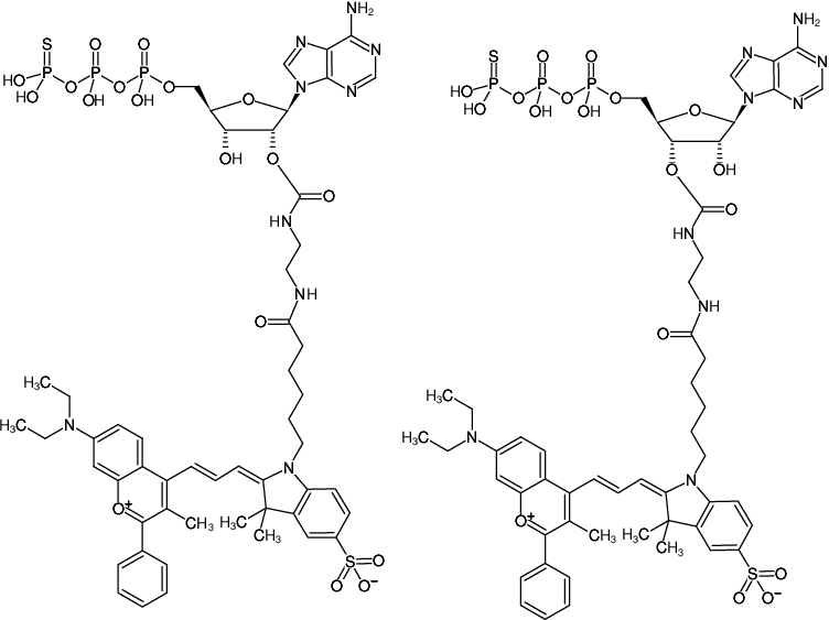 Structural formula of EDA-ATPγS-DYQ-660 (2'/3'-O-(2-Aminoethyl-carbamoyl)-adenosine-5'-(γ-thio)-triphosphate, labeled with DYQ 660, Triethylammonium salt)