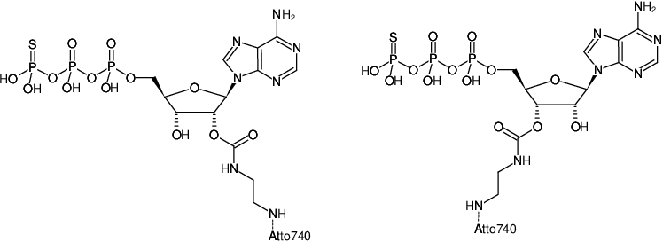 Structural formula of EDA-ATPγS-ATTO-740 (2'/3'-O-(2-Aminoethyl-carbamoyl)-adenosine-5'-(γ-thio)-triphosphate, labeled with ATTO 740, Triethylammonium salt)