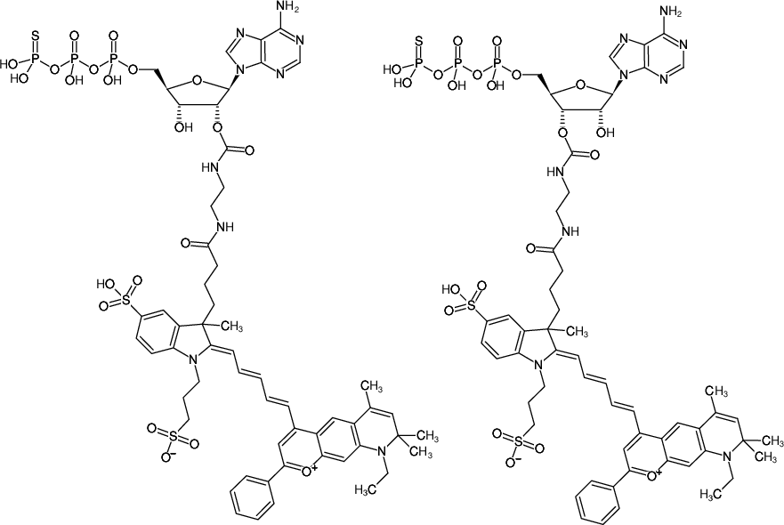 Structural formula of EDA-ATPγS-DY-776 (2'/3'-O-(2-Aminoethyl-carbamoyl)-adenosine-5'-(γ-thio)-triphosphate, labeled with DY 776, Triethylammonium salt)