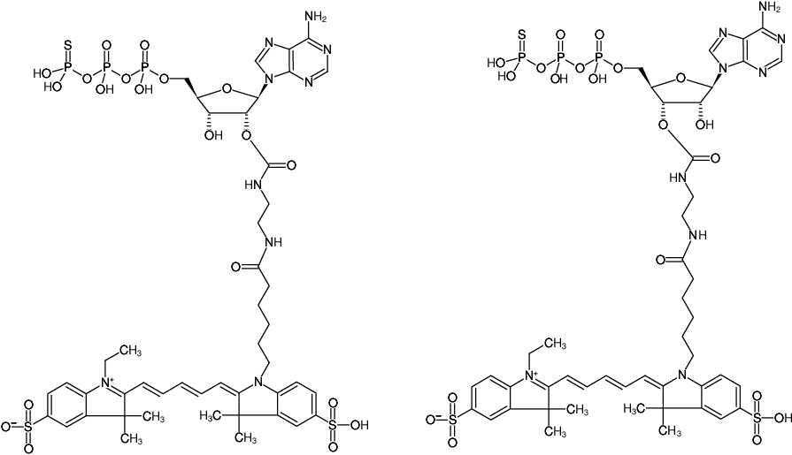 Structural formula of EDA-ATPγS-Cy5 (2'/3'-O-(2-Aminoethyl-carbamoyl)-adenosine-5'-(γ-thio)-triphosphate, labeled with Cy5, Triethylammonium salt)