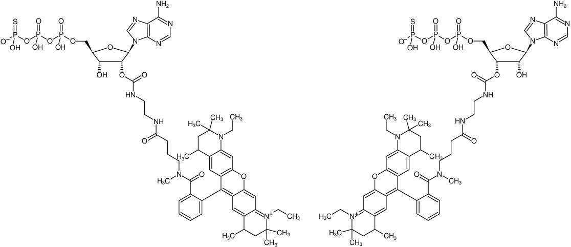 Structural formula of EDA-ATPγS-ATTO-Rho12 (2'/3'-O-(2-Aminoethyl-carbamoyl)-adenosine-5'-(γ-thio)-triphosphate, labeled with ATTO Rho12, Triethylammonium salt)