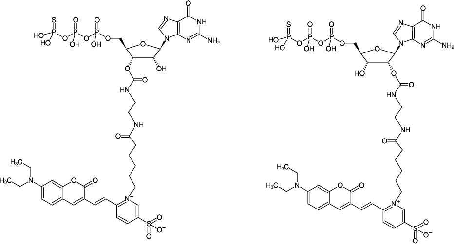 Structural formula of EDA-GTPγS-DY-480XL (2'/3'-O-(2-Aminoethyl-carbamoyl)-guanosine-5'-(γ-thio)-triphosphate, labeled with DY 480XL, Triethylammonium salt)