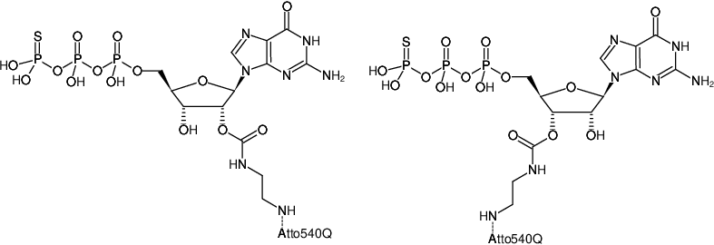 Structural formula of EDA-GTPγS-ATTO-540Q (2'/3'-O-(2-Aminoethyl-carbamoyl)-guanosine-5'-(γ-thio)-triphosphate, labeled with ATTO 540Q, Triethylammonium salt)