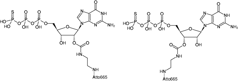 Structural formula of EDA-GTPγS-ATTO-665 (2'/3'-O-(2-Aminoethyl-carbamoyl)-guanosine-5'-(γ-thio)-triphosphate, labeled with ATTO 665, Triethylammonium salt)