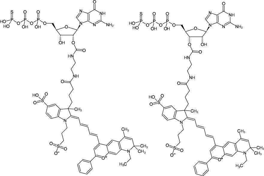 Structural formula of EDA-GTPγS-DY-776 (2'/3'-O-(2-Aminoethyl-carbamoyl)-guanosine-5'-(γ-thio)-triphosphate, labeled with DY 776, Triethylammonium salt)
