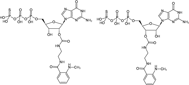Structural formula of EDA-GTPγS-MANT (2'/3'-O-(2-Aminoethyl-carbamoyl)-guanosine-5'-(γ-thio)-triphosphate, labeled with MANT, Triethylammonium salt)