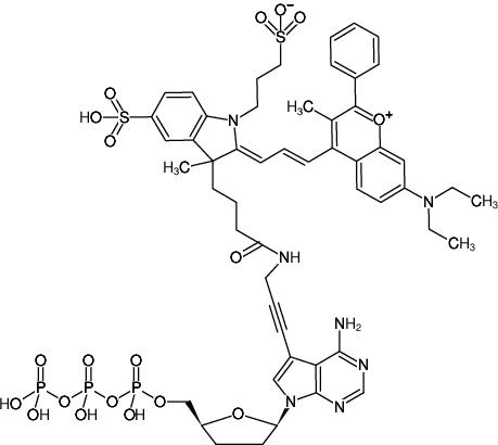 Structural formula of 7-Propargylamino-7-deaza-ddATP-DYQ-661 (7-Deaza-7-propargylamino-2',3'-dideoxyadenosine-5'-triphosphate, labeled with DYQ 661, Triethylammonium salt)