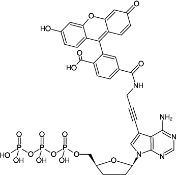 Structural formula of 7-Propargylamino-7-deaza-ddATP-6-FAM (7-Deaza-7-propargylamino-2',3'-dideoxyadenosine-5'-triphosphate, labeled with 6 FAM, Triethylammonium salt)