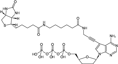 Structural formula of Biotin-11-ddATP (γ-[N-(Biotin-6-amino-hexanoyl)]-7-propargylamino-2',3'-dideoxy-deaza-adenosine-5'-triphosphate, Triethylammonium salt)