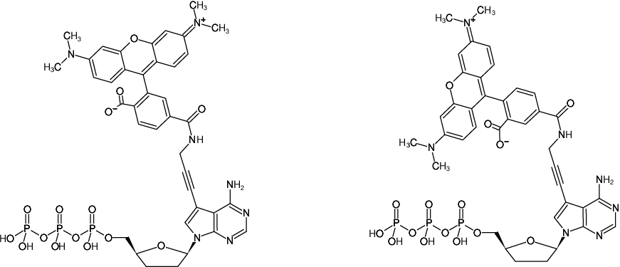 Structural formula of 7-Propargylamino-7-deaza-ddATP-5/6-TAMRA (7-Deaza-7-propargylamino-2',3'-dideoxyadenosine-5'-triphosphate, labeled with 5/6-TAMRA, Triethylammonium salt)