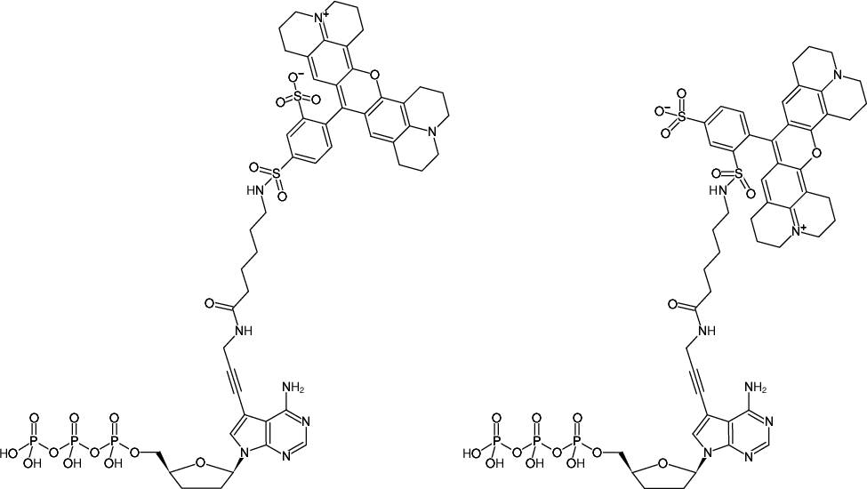 Structural formula of 7-Propargylamino-7-deaza-ddATP-Texas Red (7-Deaza-7-propargylamino-2',3'-dideoxyadenosine-5'-triphosphate, labeled with Texas Red, Triethylammonium salt)