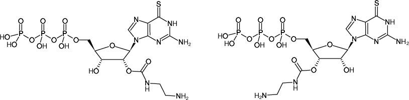 Structural formula of EDA-6-Thio-GTP (2'/3'-O-(2-Aminoethyl-carbamoyl)-6-Thio-guanosine-5'-triphosphate, Sodium salt)