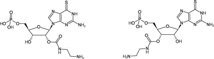 Structural formula of EDA-6-Thio-GMP (2'/3'-O-(2-Aminoethyl-carbamoyl)-6-Thio-guanosine-5'-monophosphate, Sodium salt)