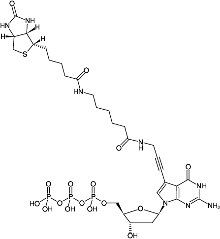 Structural formula of Biotin-11-dGTP (γ-[N-(Biotin-6-amino-hexanoyl)]-7-propargylamino-2'-deoxy-7-deaza-guanosine-5'-triphosphate, Triethylammonium salt)