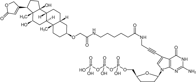 Structural formula of DIG-11-ddGTP (Digoxigenin-3-O-methylcarbonyl-ε-aminocaproyl-[7-deaza-7-propargylamino-2',3'-dideoxyguanosine-5'-triphosphate], Triethylammonium salt)