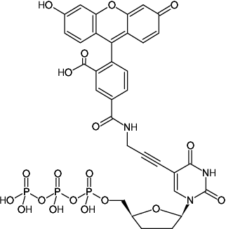 Structural formula of 5-Propargylamino-ddUTP-5-FAM (5-Propargylamino-2',3'-dideoxyuridine-5'-triphosphate, labeled with 5 FAM, Triethylammonium salt)