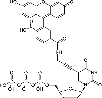 Structural formula of 5-Propargylamino-ddUTP-6-FAM (5-Propargylamino-2',3'-dideoxyuridine-5'-triphosphate, labeled with 6 FAM, Triethylammonium salt)